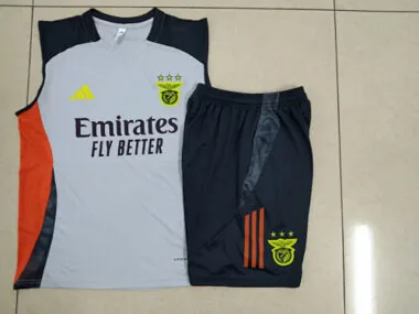 25-26 Benfica Grey Training Kits Football Vest Suits Cheap Football Jersey Wholesale Yupoo