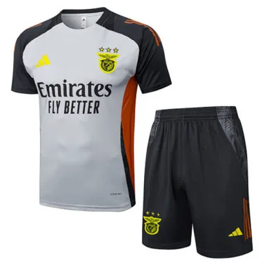 25-26 Benfica Grey Training Kits Football Tracksuits Cheap Football Jersey Wholesale Yupoo