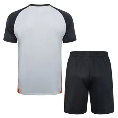 25-26 Benfica Grey Training Kits Football Tracksuits Cheap Football Jersey Wholesale Yupoo