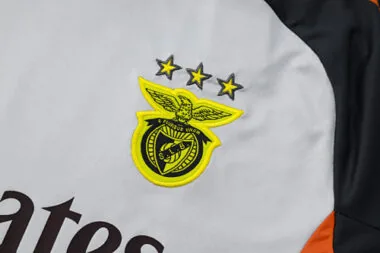 25-26 Benfica Grey Training Kits Football Tracksuits Cheap Football Jersey Wholesale Yupoo