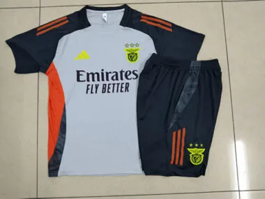 25-26 Benfica Grey Training Kits Football Tracksuits Cheap Football Jersey Wholesale Yupoo