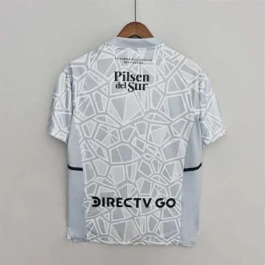 2022/23 Colo-Colo goalkeeper grey