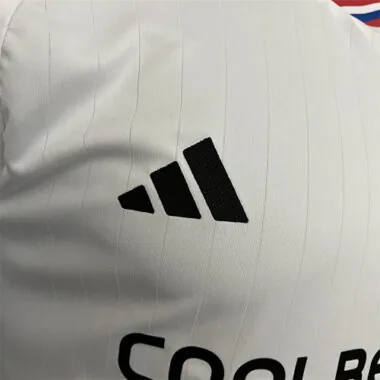 23-24 Colo-Colo home player version