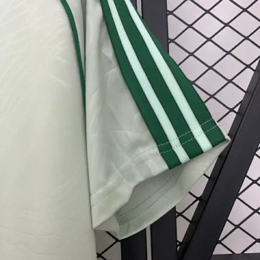 25-26 Celtic Green Special Edition Kit Cheap Football Jersey Wholesale Yupoo