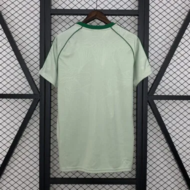 25-26 Celtic Green Special Edition Kit Cheap Football Jersey Wholesale Yupoo