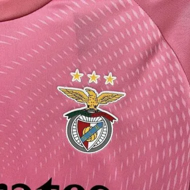 25-26 Benfica Pink Goalkeeper Kit Cheap Football Jersey Wholesale Yupoo