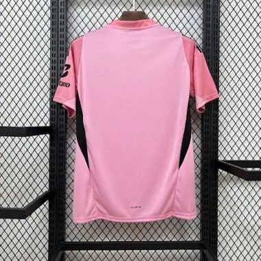 25-26 Benfica Pink Goalkeeper Kit Cheap Football Jersey Wholesale Yupoo