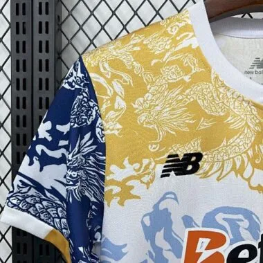 25-26 FC Porto Dragon Special Edition Kit Cheap Soccer Wholesale Jersey