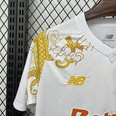 25-26 FC Porto Dragon Special Edition Kit Cheap Soccer Wholesale Jersey