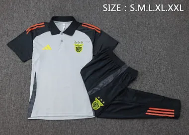 24-25 Benfica Training Kits Polo Tracksuits Cheap Jersey Wholesale Yupoo