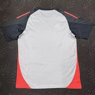 24-25 Benfica Training Soccer Jerseys Yupoo