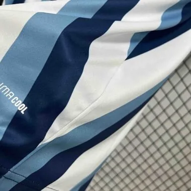 2026 Argentina Special Edition Kit World Cup Cheap Football Jersey Wholesale Yupoo