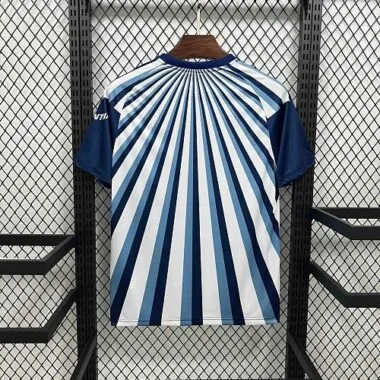 2026 Argentina Special Edition Kit World Cup Cheap Football Jersey Wholesale Yupoo