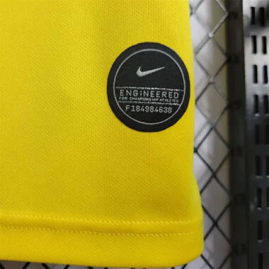 2020 Brazil home