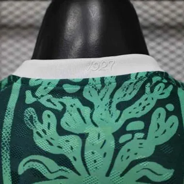 2026 Player Mexico Special Edition Kit S-3XL World Cup Cheap Football Jersey Wholesale Yupoo