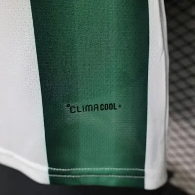 2026 Player Mexico Special Edition Kit World Cup Cheap Football Jersey Wholesale Yupoo