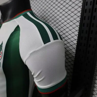 2026 Player Mexico Special Edition Kit World Cup Cheap Football Jersey Wholesale Yupoo