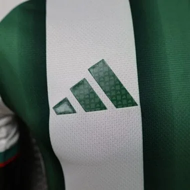 2026 Player Mexico Special Edition Kit World Cup Cheap Football Jersey Wholesale Yupoo