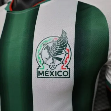2026 Player Mexico Special Edition Kit World Cup Cheap Football Jersey Wholesale Yupoo