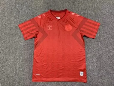 2022 Denmark home