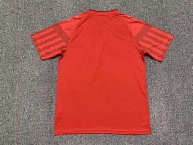 2022 Denmark home