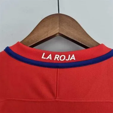 16-17 Chile home
