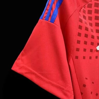 2024 Chile Home Kit Jersey Supplier Yupoo