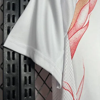 2024-25 Japan Away Kit Football Uniform