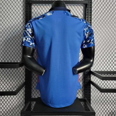 2020 Japan home player version