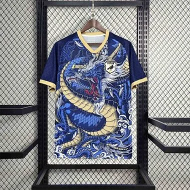 2024 Japan Blue Dragon Special Edition Kit Cheap Jerseys Yupoo