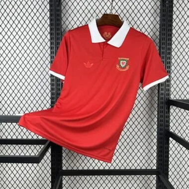 2026 Wales 150th Anniversary Kit World Cup Cheap Football Jersey Wholesale Yupoo