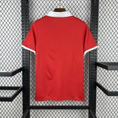 2026 Wales 150th Anniversary Kit World Cup Cheap Football Jersey Wholesale Yupoo