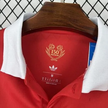 2026 Wales 150th Anniversary Kit World Cup Cheap Football Jersey Wholesale Yupoo