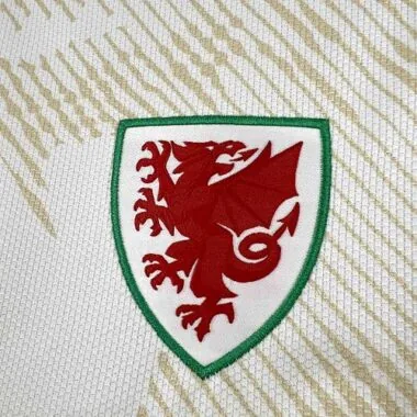 2026 Wales Away Kit S-4XL World Cup Cheap Football Jersey Wholesale Yupoo