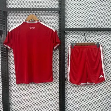 2026 Kids Wales Home Kit World Cup Cheap Football Jersey Wholesale Yupoo