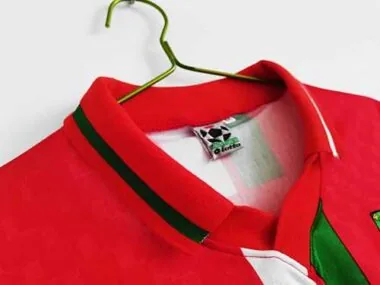 96–98 Wales (Heimspiel)