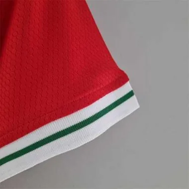 Équipe féminine du Pays de Galles 2022 (maillot rouge)