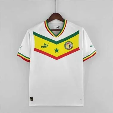 2022 Senegal home