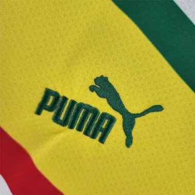 2022 Senegal home
