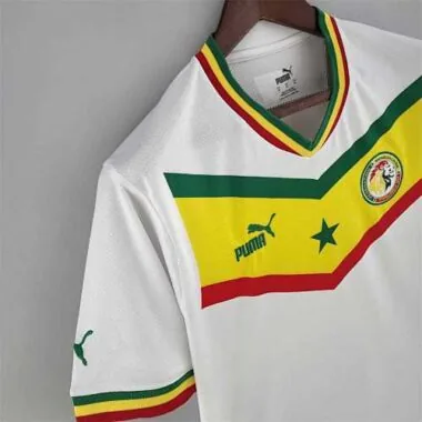 2022 Senegal home