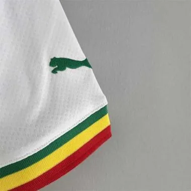 2022 Senegal home