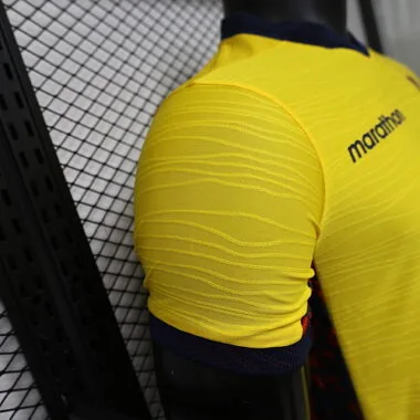 2026 Player Ecuador Home Kit World Cup Cheap Football Jersey Wholesale Yupoo