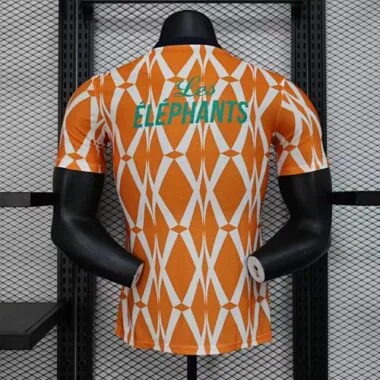 2023 Ivory Coast Training Kit Player Version Shirts Cheap Soccer Jerseys