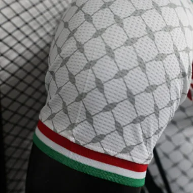 2024 Palestine Training Kit Player Version Shirts Football AAAAJerseys Yupoo