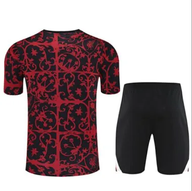 25-26 Liverpool Training Kits Tracksuits Cheap Football Jersey Wholesale Yupoo