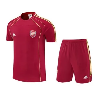 25-26 Arsenal Training Kits Football Tracksuits Cheap Football Jersey Wholesale Yupoo