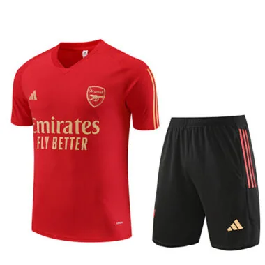 2023/24 Arsenal Training Soccer Jerseys