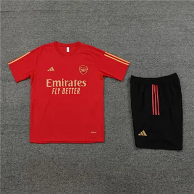 2023/24 Arsenal Training Soccer Jerseys