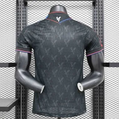 2024/25 Player Crystal Palace Second Away