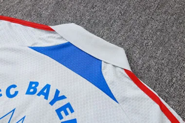 25-26 Bayern Training Kits Polo Tracksuits Cheap Jersey Wholesale Yupoo